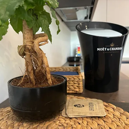 Amedeo's Sea House * Триест